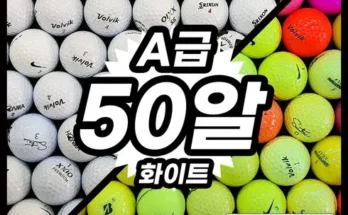 나만 알고 싶은 골프용품 Top8추천